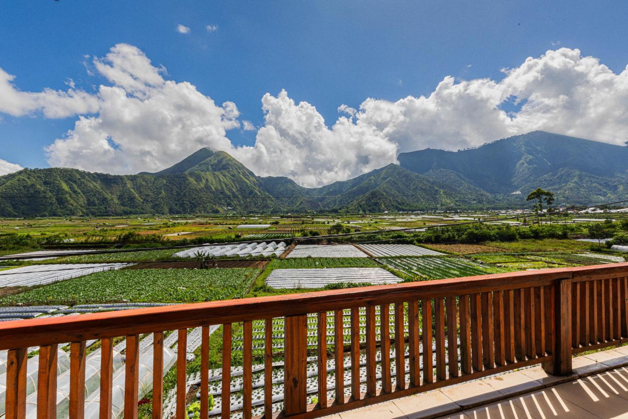 Teras Sawah Guest House Syariah Sembalunlawang Exterior foto
