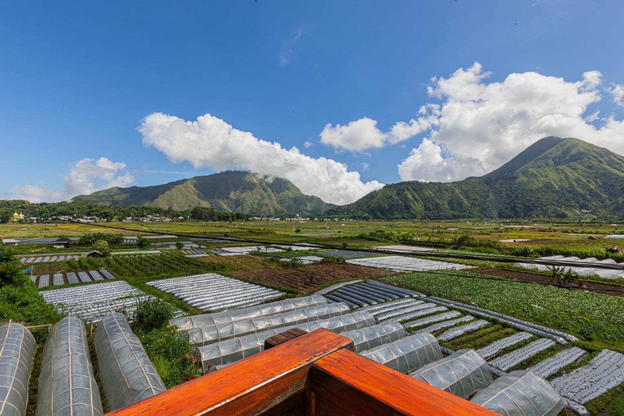Teras Sawah Guest House Syariah Sembalunlawang Exterior foto